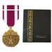 Meritorious Service Medal (MSM) – Mil Tactical