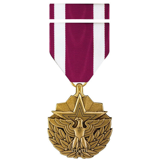 Meritorious Service Medal (MSM)