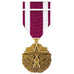 Meritorious Service Medal (MSM) – Mil Tactical