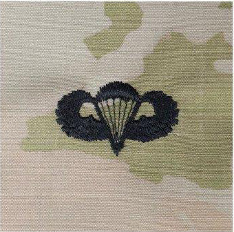 Airborne Sew On Active Duty OCP Rank